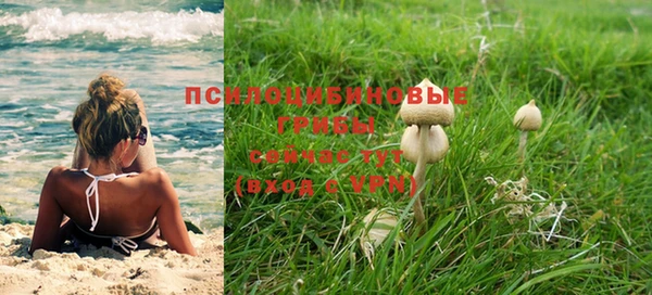 молекула духа Богданович