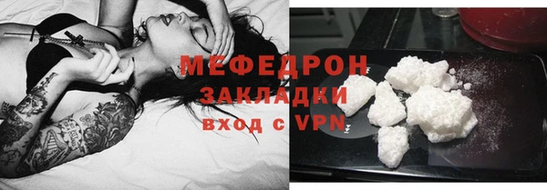 молекула духа Богданович