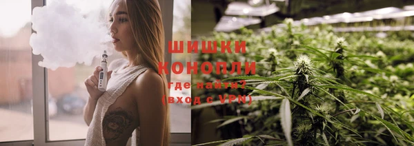 молекула духа Богданович