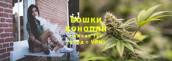 сатива Богородицк