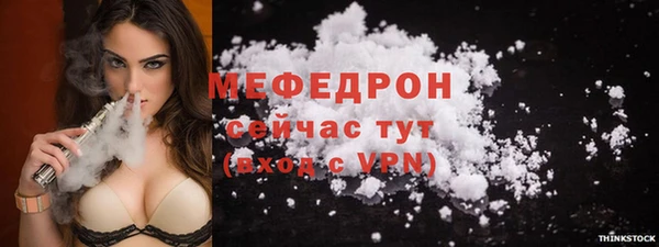 молекула духа Богданович