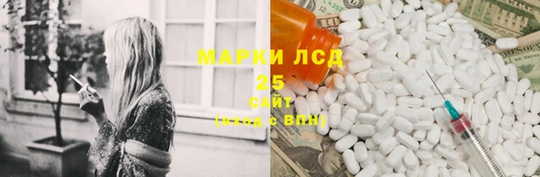 молекула духа Богданович