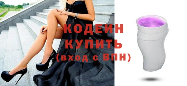 молекула духа Богданович