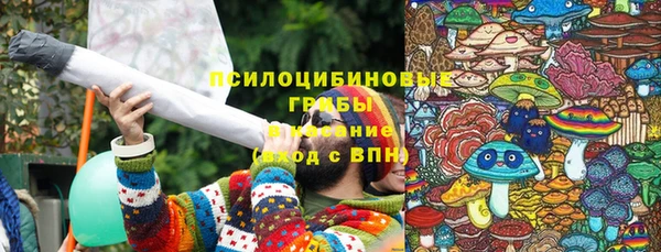 молекула духа Богданович