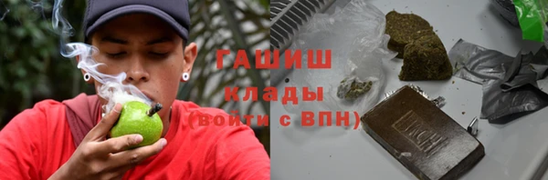 молекула духа Богданович