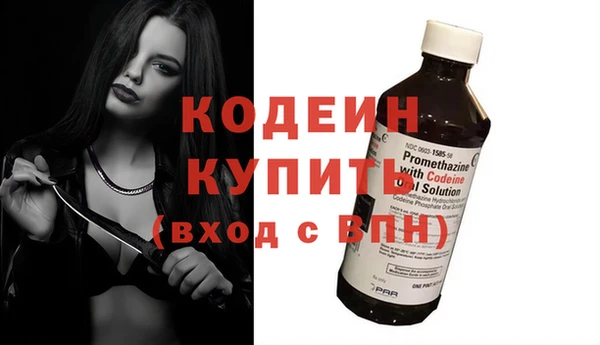 молекула духа Богданович