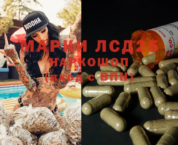 молекула духа Богданович
