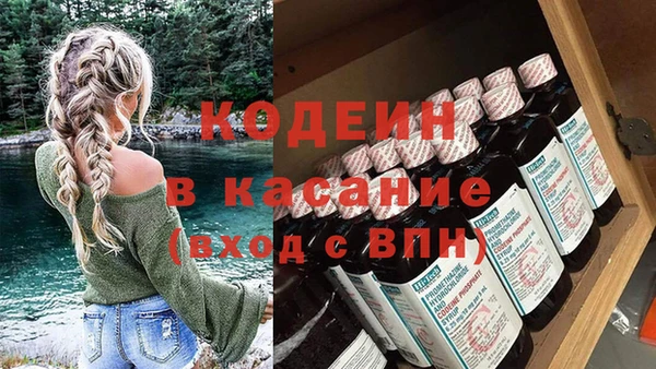 молекула духа Богданович