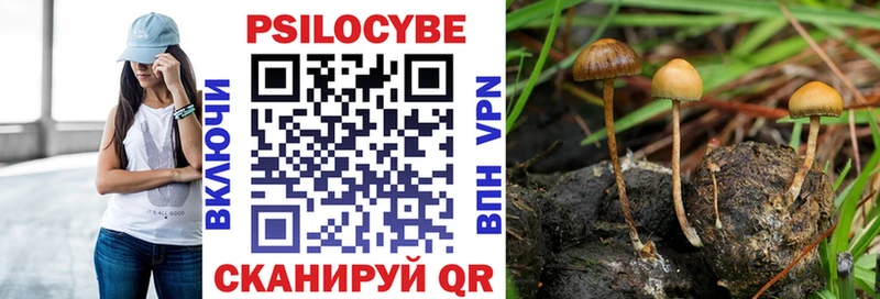 Псилоцибиновые грибы прущие грибы  Горячий Ключ 